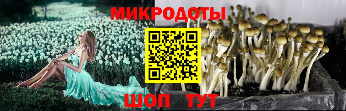 Псилоцибиновые грибы прущие грибы Королёв