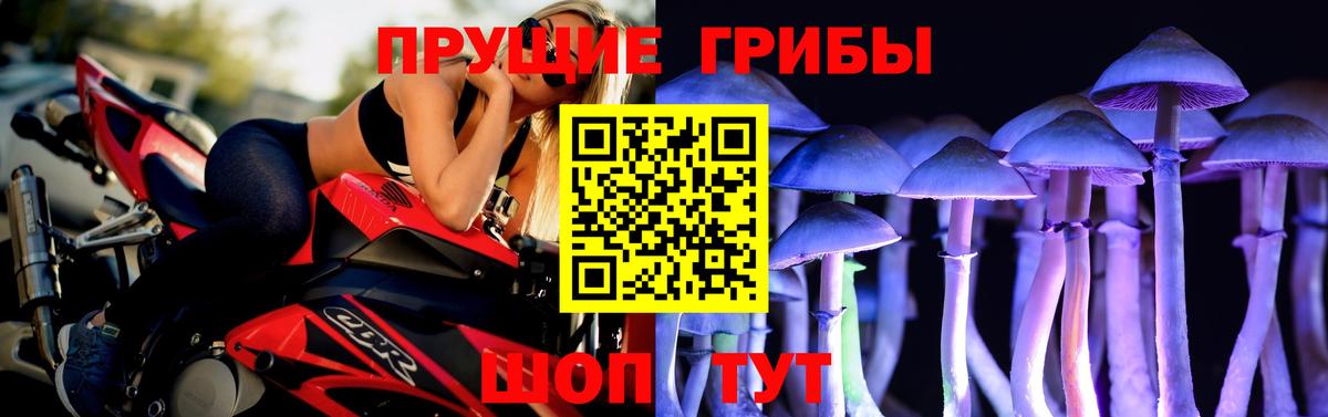 Галлюциногенные грибы ЛСД  где купить наркоту  Королёв  Вход с VPN  Псилоцибиновые грибы Magic Shrooms 